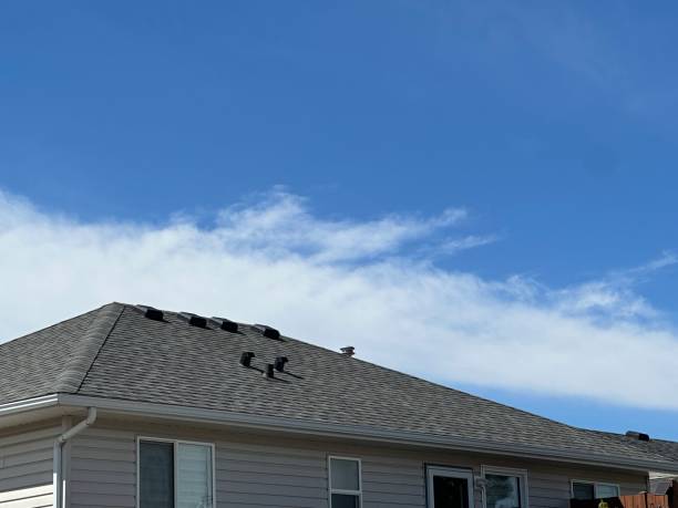 Best Sheet Metal Roofing  in Grove, OK